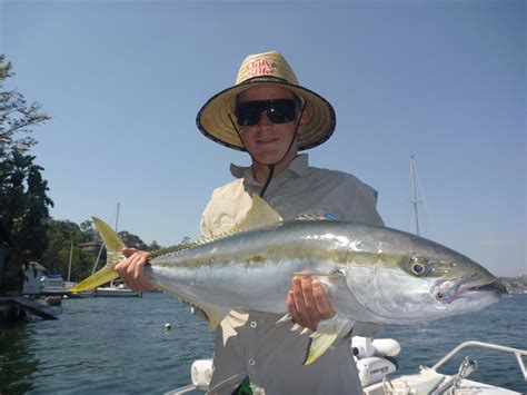 sydney harbour fishing charters|Sydney Sportfishing Adventures .